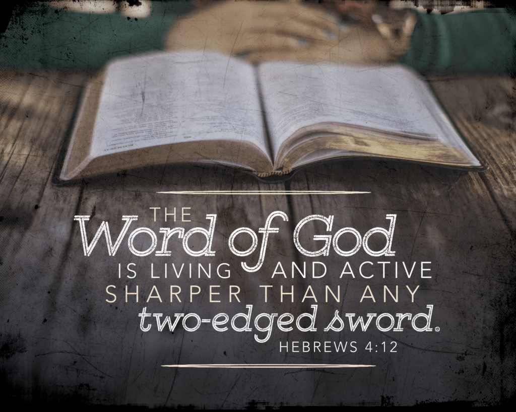 Free Bibles - Risedale Gospel Hall