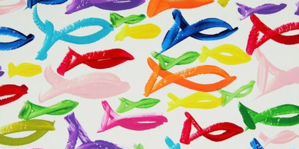 Colorful fishes